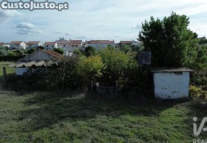 imagem_13