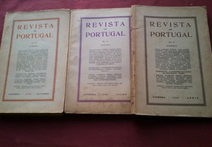 imagem_3