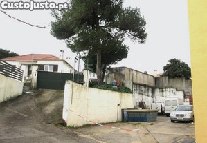 imagem_15