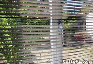 imagem_36