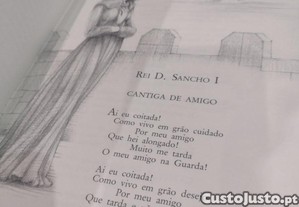 imagem_8