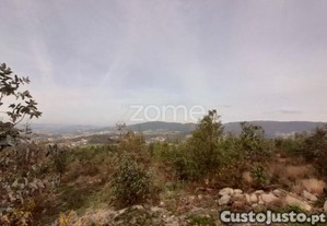 Terreno Florestal Sito Em Guimarei!