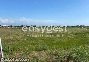 6 Lotes De Terreno Com 7830Mts2 Cada, Vendidos...