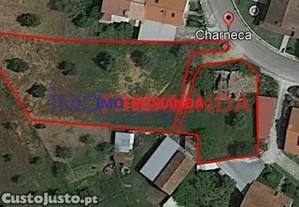imagem_6