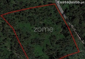 Terreno Rústico Com 13.470 M2 Em Monte Córdova...