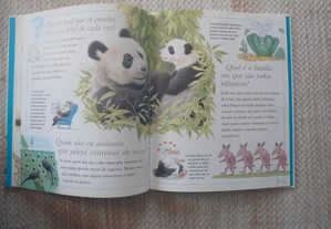 imagem_6