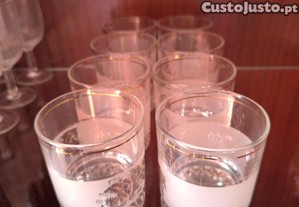imagem_8