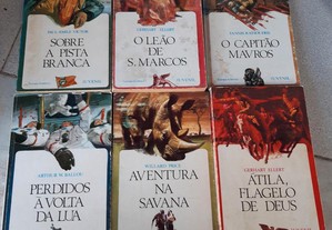 imagem_4
