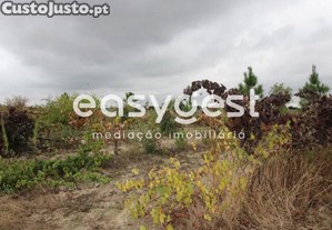 Terreno Rústico Situado Na Herdade Das Piçarras...