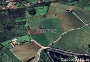 Terreno Rústico Em Lugar Dos Carneiros,...