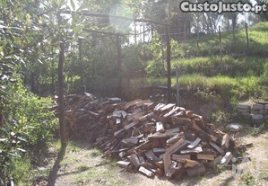 imagem_14