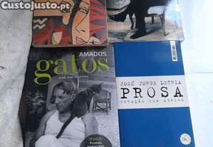 imagem_7