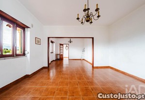 imagem_11