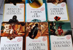 imagem_2