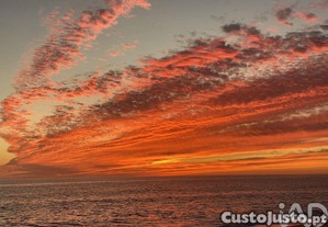 imagem_19