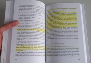 imagem_8