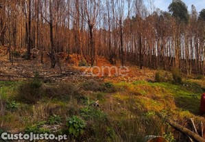 Terreno Urbano Em Melres