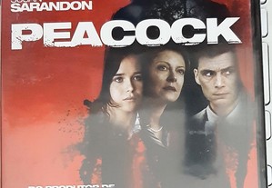 imagem_4