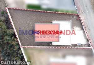 imagem_11