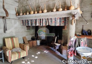 imagem_13