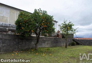 imagem_30