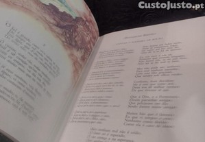 imagem_7