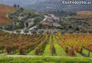 Quinta Do Viso - Peso Da Régua