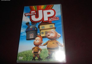 DVD-What`s Up-em busca de aventuras