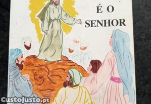 imagem_1