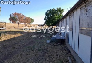 Terreno E Exploração Pecuária, Com...
