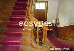 imagem_12