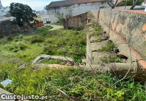 imagem_1