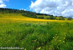 Terreno Com 23160M2-Situado Em Limites Do Casal...