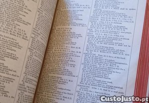imagem_7