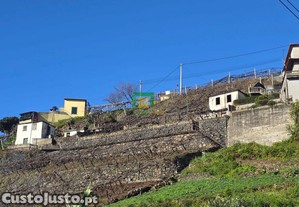 imagem_14