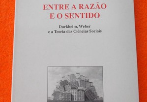 Entre a Razão e o Sentido - Augusto Santos Silva
