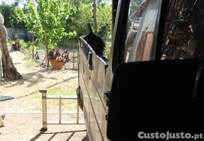imagem_35