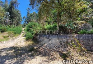 Bouça C/ 14.300M2 Em Airó, Barcelos