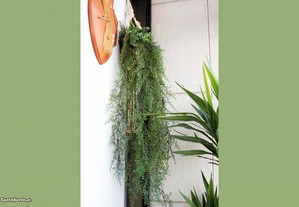 Planta artificial suspensa / Artificial hanging plant