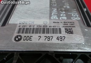imagem_3
