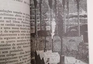 imagem_5