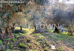 Lote para Construção Torres Novas