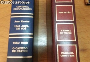 imagem_4