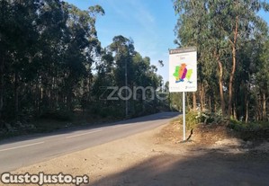 Terreno Rustico Com 25.000 M2 Em Fradelos...