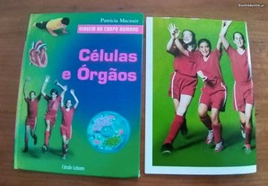 imagem_5