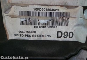imagem_5