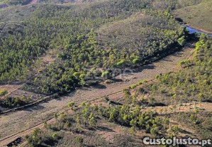 Terreno Rústico Com Açude - Senhora Do Verde,...