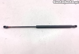 Amortecedor De Porta Da Mala Ford Fiesta Iii (Gfj)