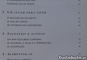 imagem_8