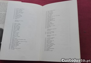 imagem_11